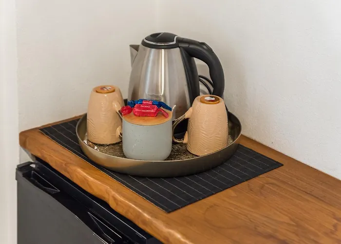 招待所 Alby Express 4*